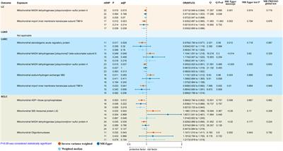 Causal relationships between mitochondrial proteins and different pathological types of lung cancer: a bidirectional mendelian randomization study